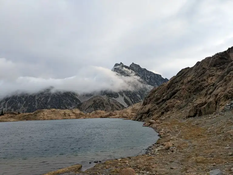 Larches at Lake Ingalls